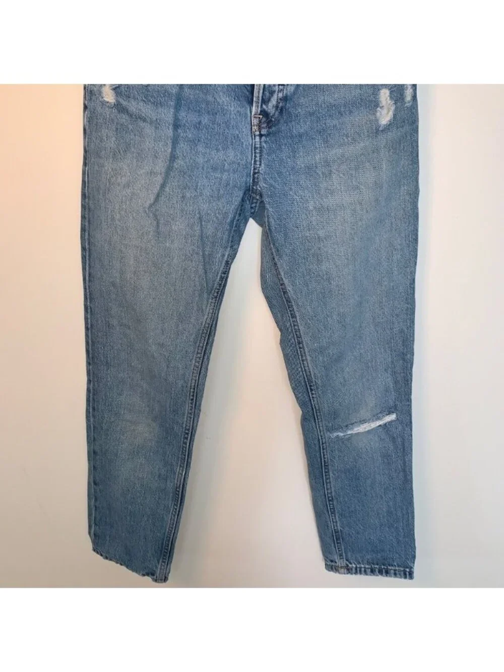 Everlane O-S Boy Friend Distressed Cropped Blue Jeans 25